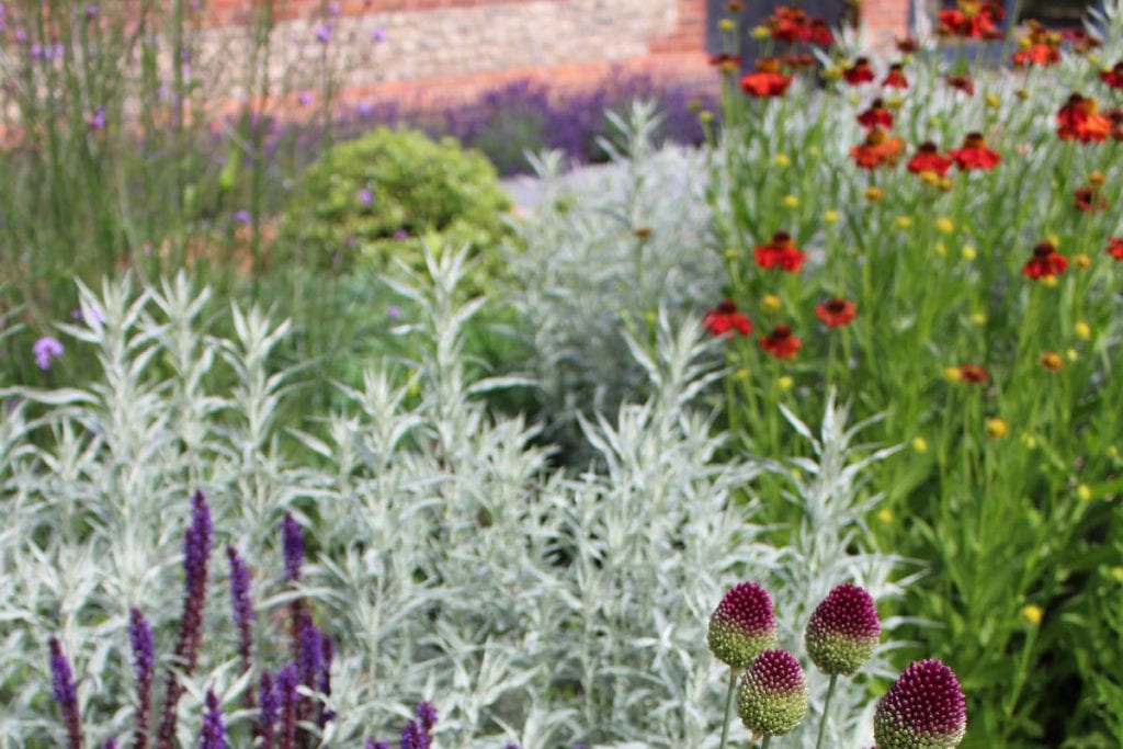 garden design reds and purples